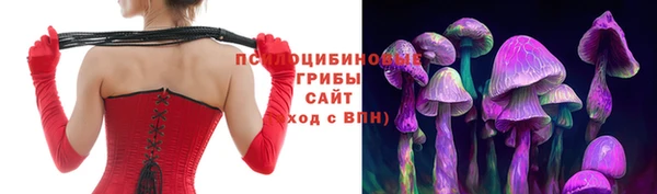 крисы Балабаново